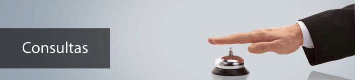 Consultas